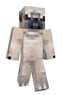 Safxty1 Minecraft avatar full body