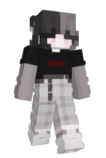 SageTxT Minecraft avatar full body