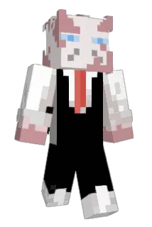 Sage_Patches Minecraft avatar full body