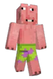 Sageriverz Minecraft avatar full body