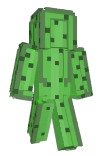 SaguaroFlower Minecraft avatar full body