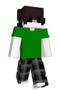 Saifrll Minecraft avatar full body