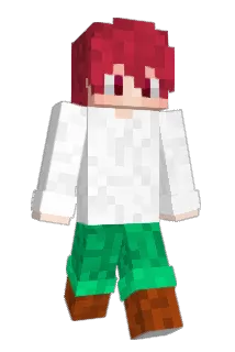 SaintsS1 Minecraft avatar full body