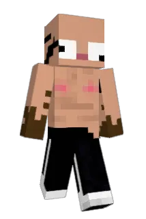 SairLEX Minecraft avatar full body