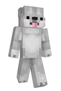 SalDogger Minecraft avatar full body