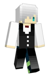 Saladnoodle Minecraft avatar full body