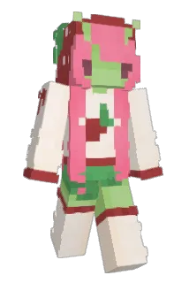 SalemStinks_ Minecraft avatar full body