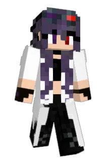 Salerz Minecraft avatar full body