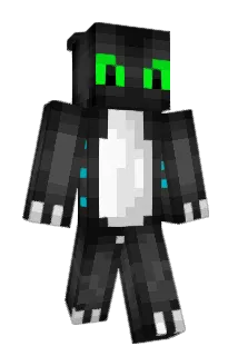 Salexis55 Minecraft avatar full body