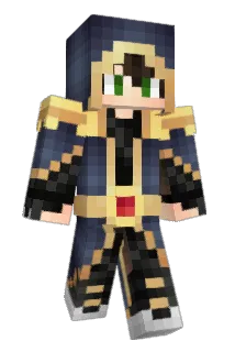 Salggking Minecraft avatar full body