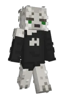 SaliSuks Minecraft avatar full body