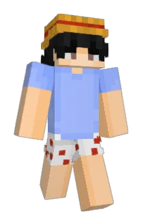 SalihBey333 Minecraft avatar full body