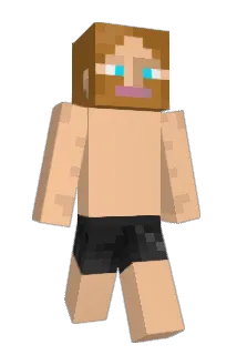SalinDeff Minecraft avatar full body