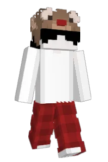 SalkW Minecraft avatar full body