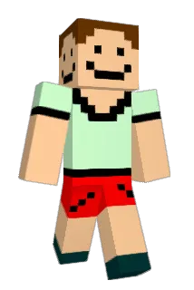Salken Minecraft avatar full body