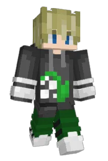 Salkin64 Minecraft avatar full body