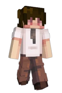 Salks_ Minecraft avatar full body