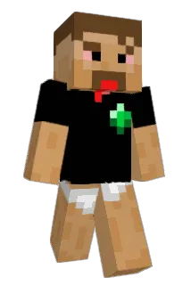 Sallee33 Minecraft avatar full body