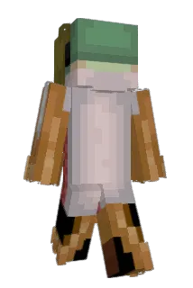 SalmonIsGreat Minecraft avatar full body