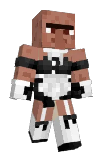 SalmonTurtle293 Minecraft avatar full body