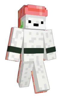Salmon_0824 Minecraft avatar full body