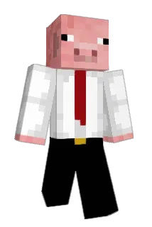 Salolayka Minecraft avatar full body