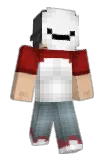 Salosinz Minecraft avatar full body