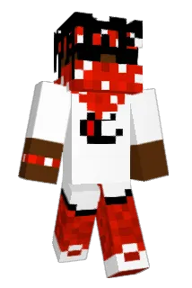 SalsaBands Minecraft avatar full body