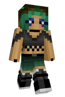 Salsameter Minecraft avatar full body