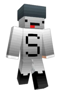 Salt881 Minecraft avatar full body