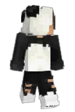 SalteStyle Minecraft avatar full body