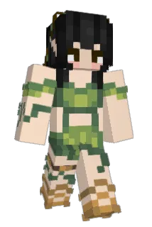SaltedLlama Minecraft avatar full body