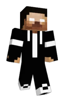 Saltedt Minecraft avatar full body