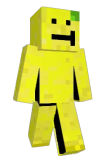 Salteeeens Minecraft avatar full body