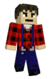Saltsell Minecraft avatar full body