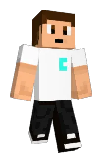 SaltyYellow Minecraft avatar full body
