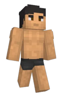 Saltysword Minecraft avatar full body