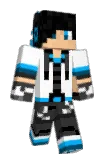 Salwirr Minecraft avatar full body