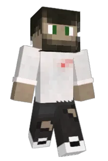 SamDoofy Minecraft avatar full body