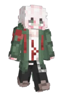 SamDucks Minecraft avatar full body