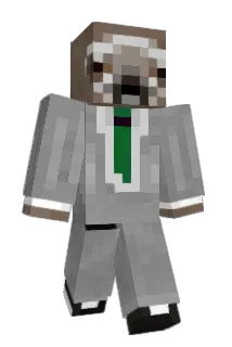SamHen Minecraft avatar full body