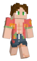 Custom render preview