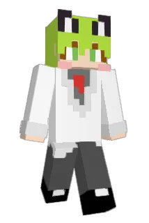 Samgek Minecraft avatar full body