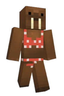SammyJungles Minecraft avatar full body