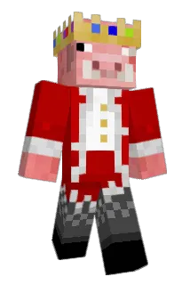 Samu100Sau Minecraft avatar full body