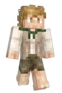 Samwise082 Minecraft avatar full body
