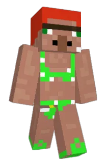 Sander_Beite Minecraft avatar full body