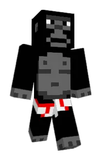 Sandman0504 Minecraft avatar full body