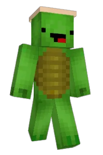 Sandpit_Turtle Minecraft avatar full body