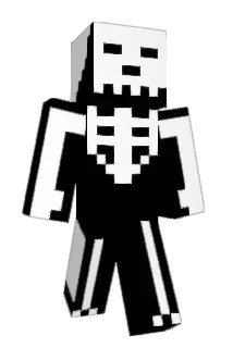 SaneSkull Minecraft avatar full body